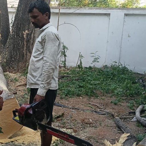 Shiva-Tree-Cutting-Services-Gallery24